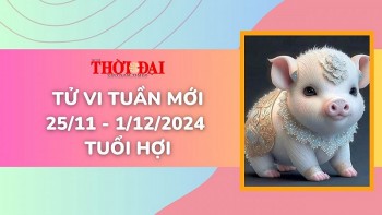 tu vi tuan moi 2511 den 1122024 tuoi hoi tinh duyen cong danh tai loc