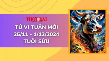 Tử vi tuần mới 25/11 đến 1/12/2024 tuổi Sửu: Tình duyên, công danh tài lộc, sức khỏe