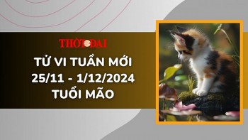 Tử vi tuần mới 25/11 đến 1/12/2024 tuổi Mão: Tình duyên, công danh tài lộc, sự nghiệp