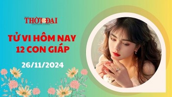 Tử vi hôm nay 12 con giáp 26/11/2024: Mão thăng hoa trong công việc