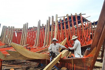 ifrc ho tro dong moi tau danh ca cho ngu dan o quang nam khai thac hai san