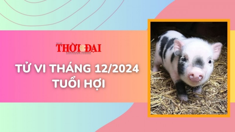 Tử vi tháng 12/2024 tuổi Hợi: Đối mặt với cả cơ hội và thử thách