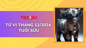 ​​​​​​​Tử vi tháng 12/2024 tuổi Sửu: Khó khăn dồn dập, công việc trì trệ