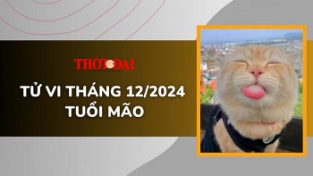 Tử vi tháng 12/2024 tuổi Mão: Chưa có bước đột phá