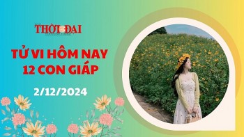 Tử vi hôm nay 12 con giáp 2/12/2024: Thìn làm gì cũng thuận lợi