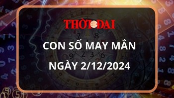 Con số may mắn hôm nay 2/12/2024 12 con giáp: Hợi tài tinh chiếu mệnh tiền về đầy túi ngày đầu tháng