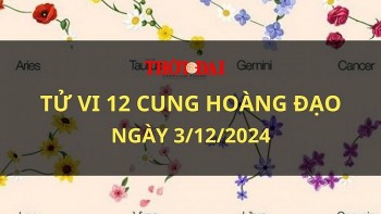 Tử vi hôm nay 12 cung hoàng đạo 3/12/2024: bạch Dương cẩn thận mất tiền oan