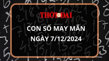 Con số may mắn hôm nay 7/12/2024 12 con giáp: Dậu có cơ hội phát tài phát lộc đổi đời trong chớp mắt