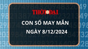 Con số may mắn hôm nay 8/12/2024 12 con giáp: Tìm ra những con số phát tài phát lộc