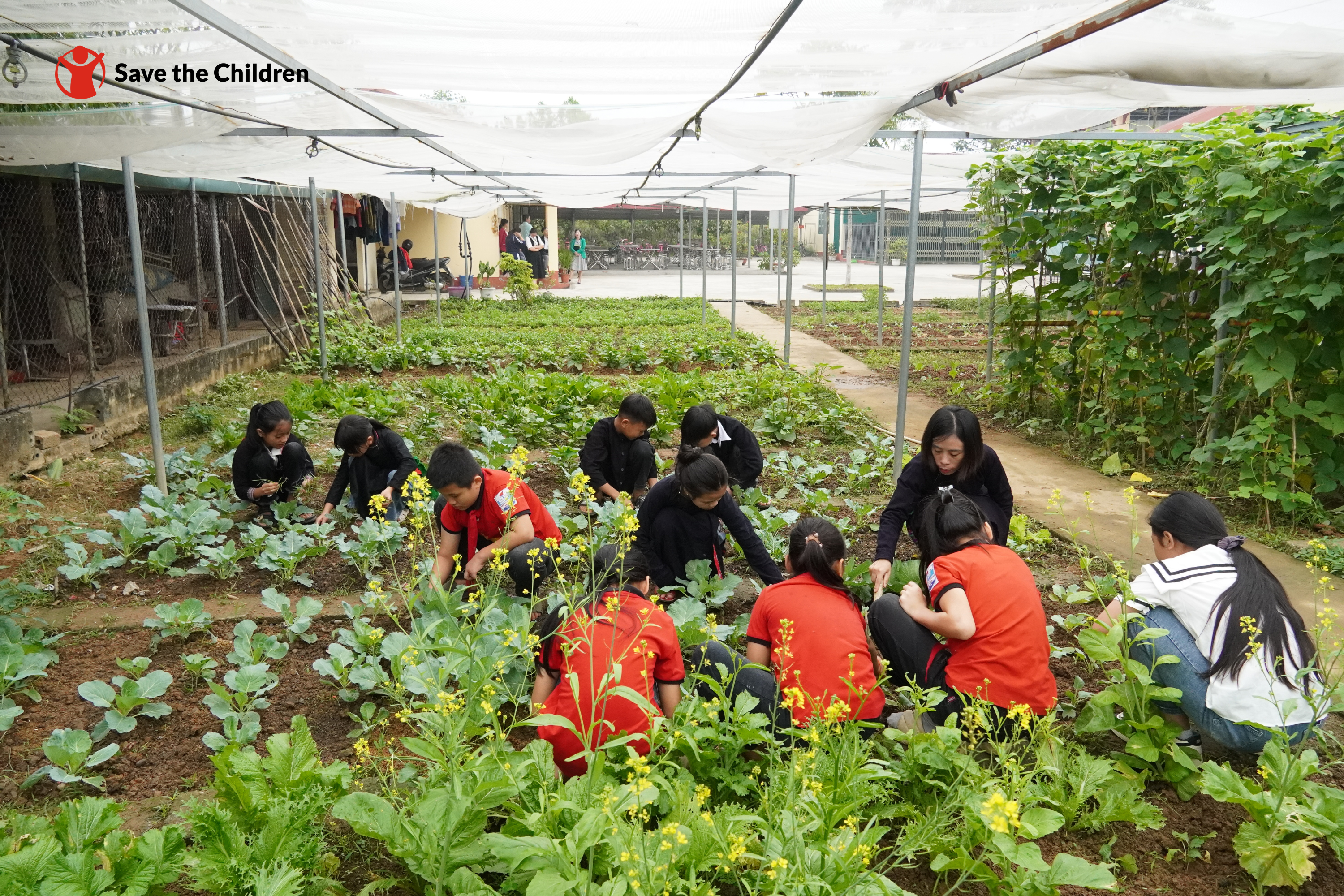 Hành trình 35 năm Tổ chức Cứu trợ Trẻ em tại Việt Nam: Không ngừng thay đổi và phát triển vì trẻ em Việt