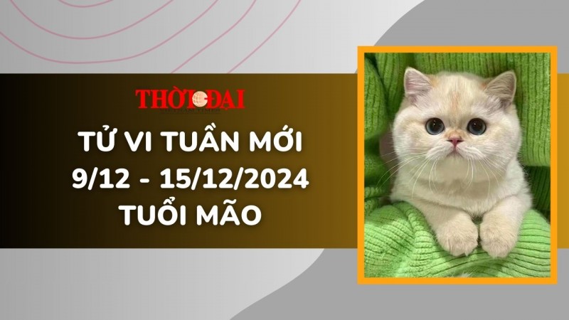 Tử vi tuần mới 9/12 đến 15/12/2024 tuổi Mão: Tình duyên, công danh tài lộc, sức khỏe