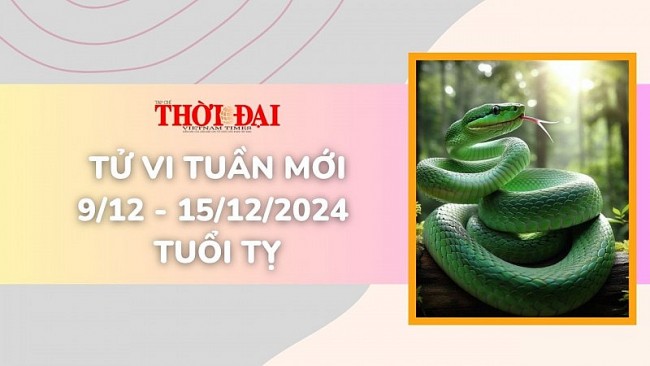 Tử vi tuần mới 9/12 đến 15/12/2024 tuổi Tỵ: Sức khỏe, tình duyên, công danh tài lộc