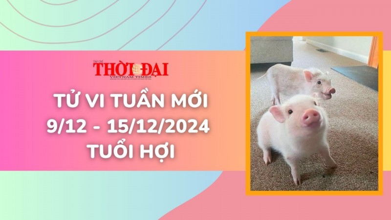 Tử vi tuần mới 9/12 đến 15/12/2024 tuổi Hợi: Tình duyên, công danh tài lộc, sức khỏe