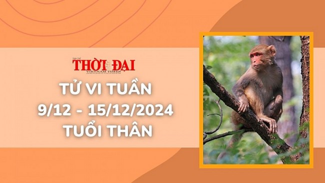 Tử vi tuần mới tuổi Thân 9/12 đến 15/12/2024: Tình duyên, công danh tài lộc