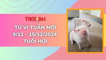 Tử vi tuần mới 9/12 đến 15/12/2024 tuổi Hợi: Tình duyên, công danh tài lộc, sức khỏe