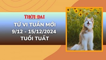 Tử vi tuần mới 9/12 đến 15/12/2024 tuổi Tuất: Tình duyên, công danh tài lộc