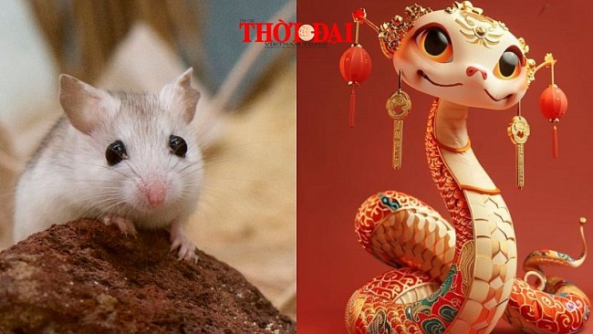 Top con giáp may mắn hôm nay 12/12/2024: Tỵ vượng tài Tý cát tinh xuất hiện