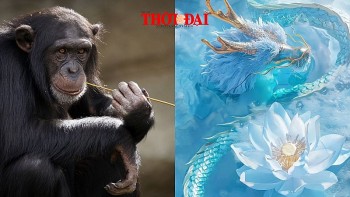 Top con giáp may mắn hôm nay 13/12/2024: Thân có bước tiến trong công việc Thìn được cấp trên công nhận