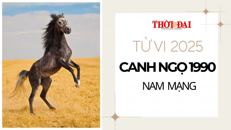 Tử vi năm 2025 tuổi Canh Ngọ 1990 nam mạng: Một năm hung cát đan xen