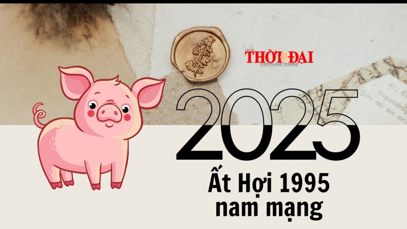 Tử vi năm 2025 tuổi Ất Hợi 1995 nam mạng: Năm đầu tam tai, hao tinh chiếu mệnh