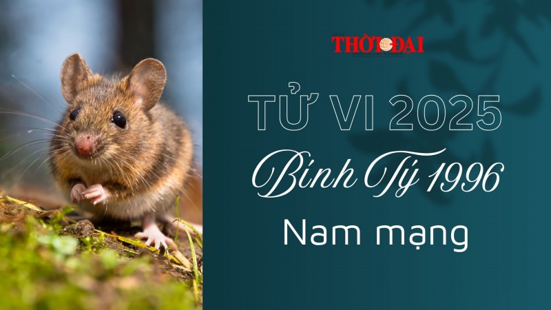 Tử vi năm 2025 tuổi Bính Tý 1996 nam mạng: Một năm khá bình ổn