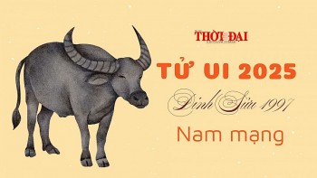 Tử vi năm 2025 tuổi Đinh Sửu 1997 nam mạng: Nhiều thăng trầm nhưng thu về nhiều thành tựu