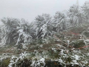 Thời tiết hôm nay (13/12): Không khí lạnh tăng cường miền Bắc nhiệt độ nhiều nơi giảm sâu