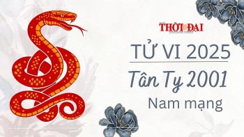 Tử vi năm 2025 tuổi Tân Tỵ 2001 nam mạng: Khó khăn, nhiều áp lực
