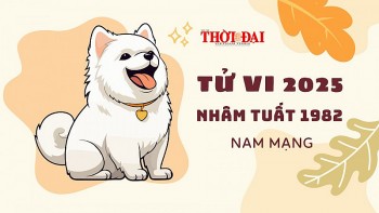 Tử vi 2025 tuổi Tuất