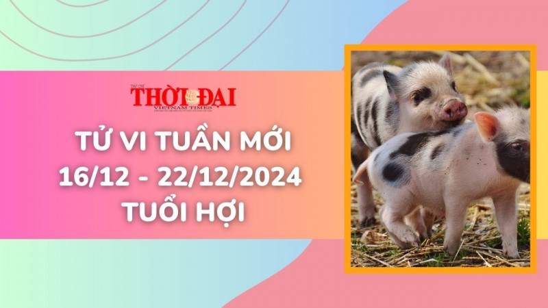 Tử vi tuần mới 16/12 đến 22/12/2024 tuổi Hợi: Hàng loạt cơ hội mới mở ra