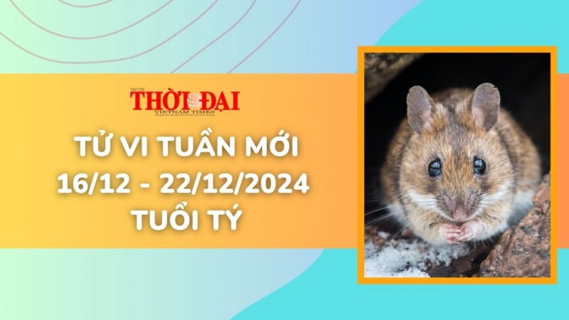 Tử vi tuần mới 16/12 đến 22/12/2024 tuổi Tý: Tình duyên, công danh tài lộc