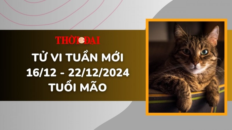 Tử vi tuần mới 16/12 đến 22/12/2024 tuổi Mão: Một tuần đầy khởi sắc