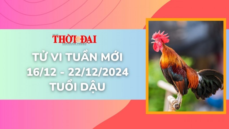 Tử vi tuần mới 16/12 đến 22/12/2024 tuổi Dậu: Tình duyên, công danh tài lộc