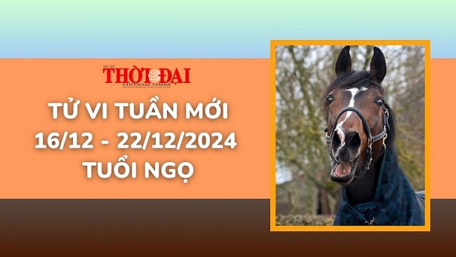 Tử vi tuần mới 16/12 đến 22/12/2024 tuổi Ngọ: Đón nhận nhiều bước tiến vô cùng tích cực