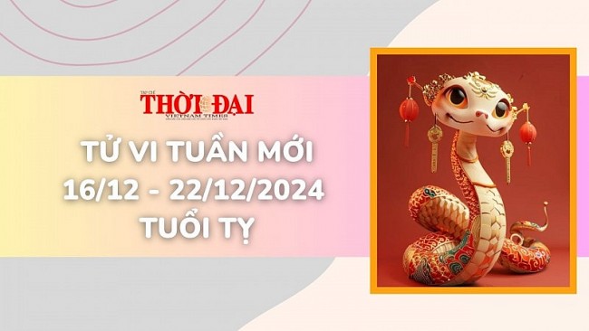 Tử vi tuần mới 16/12 đến 22/12/2024 tuổi Tỵ: Nhiều cơ hội mới mở ra trong công việc