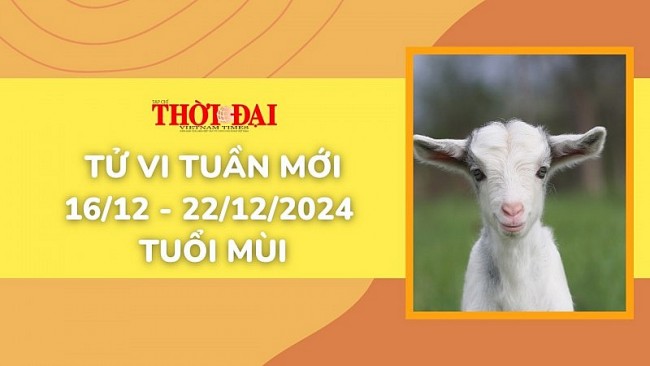 Tử vi tuần mới 16/12 đến 22/12/2024 tuổi Mùi: Tình duyên, công danh tài lộc