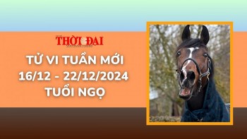 Tử vi tuần mới 16/12 đến 22/12/2024 tuổi Ngọ: Đón nhận nhiều bước tiến vô cùng tích cực