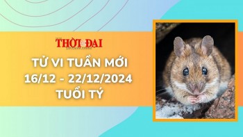 Tử vi tuần mới 16/12 đến 22/12/2024 tuổi Tý: Tình duyên, công danh tài lộc