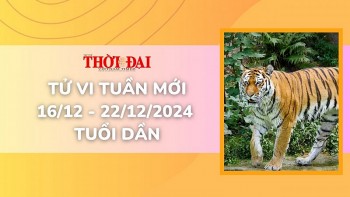 Tử vi tuần mới 16/12 đến 22/12/2024 tuổi Dần: Tình duyên, công danh tài lộc, sức khỏe
