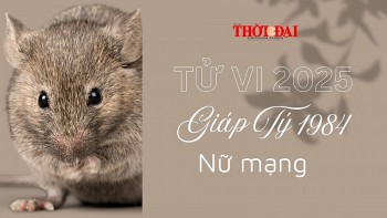 tu vi nam 2025 tuoi giap ty 1984 nu mang doi mat voi nhieu bien dong va thach thuc