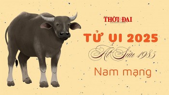 Tử vi năm 2025 tuổi Ất Sửu 1985 nam mạng: Đối diện với nhiều thay đổi