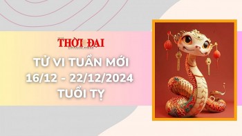 Tử vi tuần mới 16/12 đến 22/12/2024 tuổi Tỵ: Nhiều cơ hội mới mở ra trong công việc