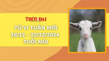 Tử vi tuần mới 16/12 đến 22/12/2024 tuổi Mùi: Tình duyên, công danh tài lộc