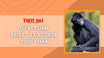 Tử vi tuần mới 16/12 đến 22/12/2024 tuổi Thân: Một tuần đầy biến động và thử thách