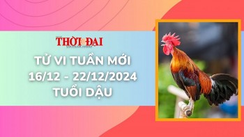 Tử vi tuần mới 16/12 đến 22/12/2024 tuổi Dậu: Tình duyên, công danh tài lộc