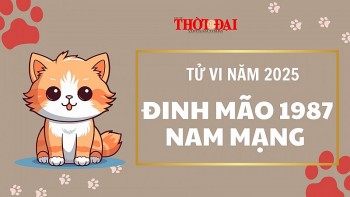 Tử vi năm 2025 tuổi Đinh Mão 1987 nam mạng: Nhiều khó khăn thử thách