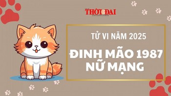 Tử vi năm 2025 tuổi Đinh Mão 1987 nữ mạng: Năm đầu tam tai tốt xấu đan xen