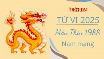 Tử vi năm 2025 tuổi Tân Mùi 1988 nam mạng: Năm thích hợp thử nghiệm hướng đi mới