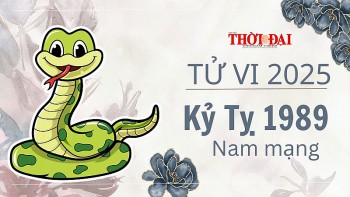 Tử vi năm 2025 tuổi Kỷ Tỵ 1989 nam mạng: Đối diện nhiều khó khăn, thách thức