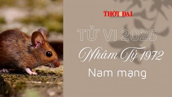 Tử vi năm 2025 tuổi Nhâm Tý 1972 nam mạng: Ít biến động, ít có vấn đề nghiêm trọng